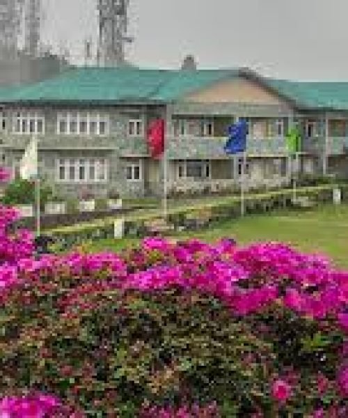 WhatsApp Image 2026-03-04 at 5.58.10 PM (1)